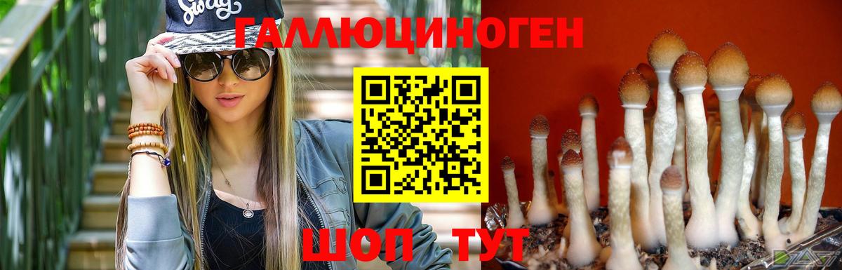 Галлюциногенные грибы мухоморы  Галлюциногенные грибы Cubensis  Вход с VPN  Янаул 